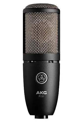 AKG P220 Perception Вокальный конденсаторный микрофон.