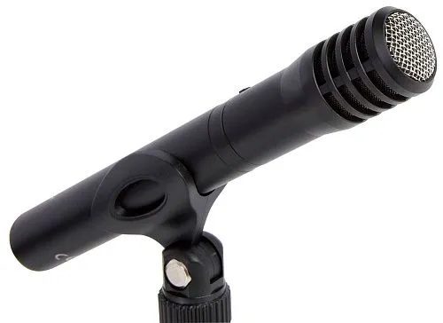 Tascam TM-60 Студийный конденсаторный микрофон, кардиоида, цвет черный.