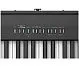 Roland FP-30X-BK Цифровое фортепиано.-2
