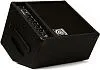 Ampeg BA-108v2 Комбоусилитель для бас-гитары.-2