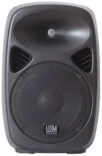 Leem SPA-12 Двухполосная активная акустическая система.