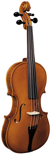 Strunal 3/90A-41 Альт.