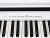 Medeli DP250RB-PVC-WH Цифровое пианино.-4