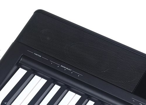 Medeli SP-C120-WOS Цифровое пианино, черное, без стойки.