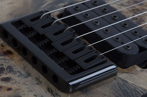 Schecter C-6 PRO CB Электрогитара.