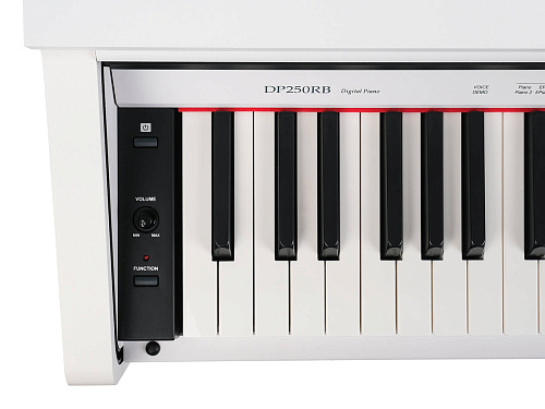 Medeli DP250RB-PVC-WH Цифровое пианино.