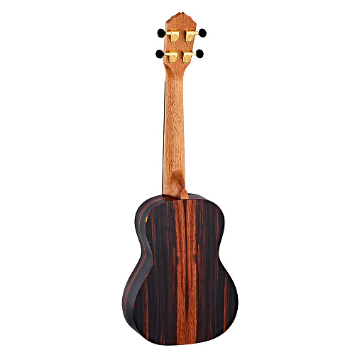 Ortega Rueb-CC Ebony Series Укулеле концерт.