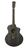 IZ LS-H10-BK Акустическая гитара.-0