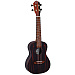 Ortega Rueb-CC Ebony Series Укулеле концерт.-0