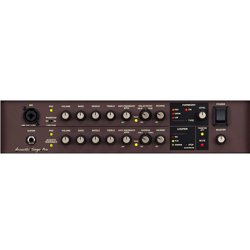 Roland ACS-PRO Комбоусилитель для акустической гитары.