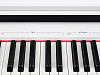Medeli DP250RB-PVC-WH Цифровое пианино.-5
