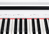 Medeli DP250RB-PVC-WH Цифровое пианино.-6