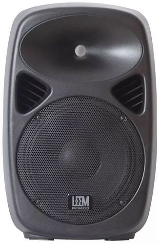 Leem SPA-12 Двухполосная активная акустическая система.