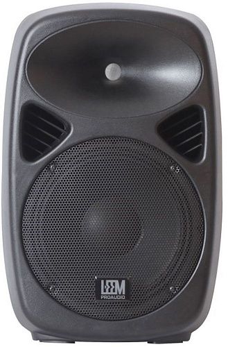 Leem SPA-8 Двухполосная активная акустическая система.