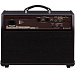 Roland ACS-PRO Комбоусилитель для акустической гитары.-2