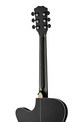 Foix FFG-2040C-BK Акустическая гитара.